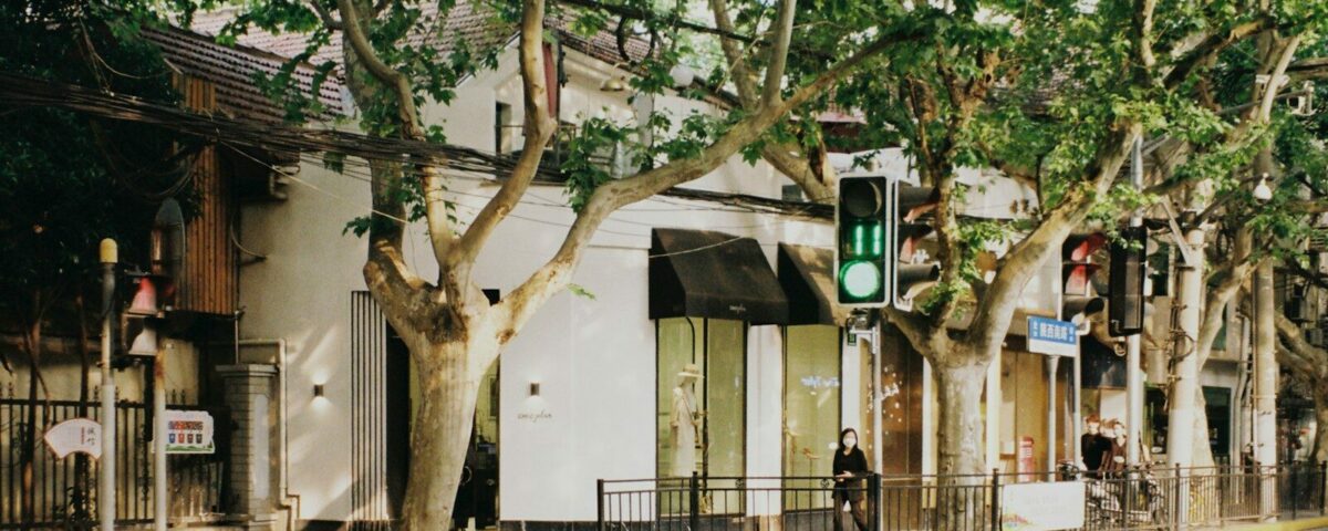 green and brown tree near white building