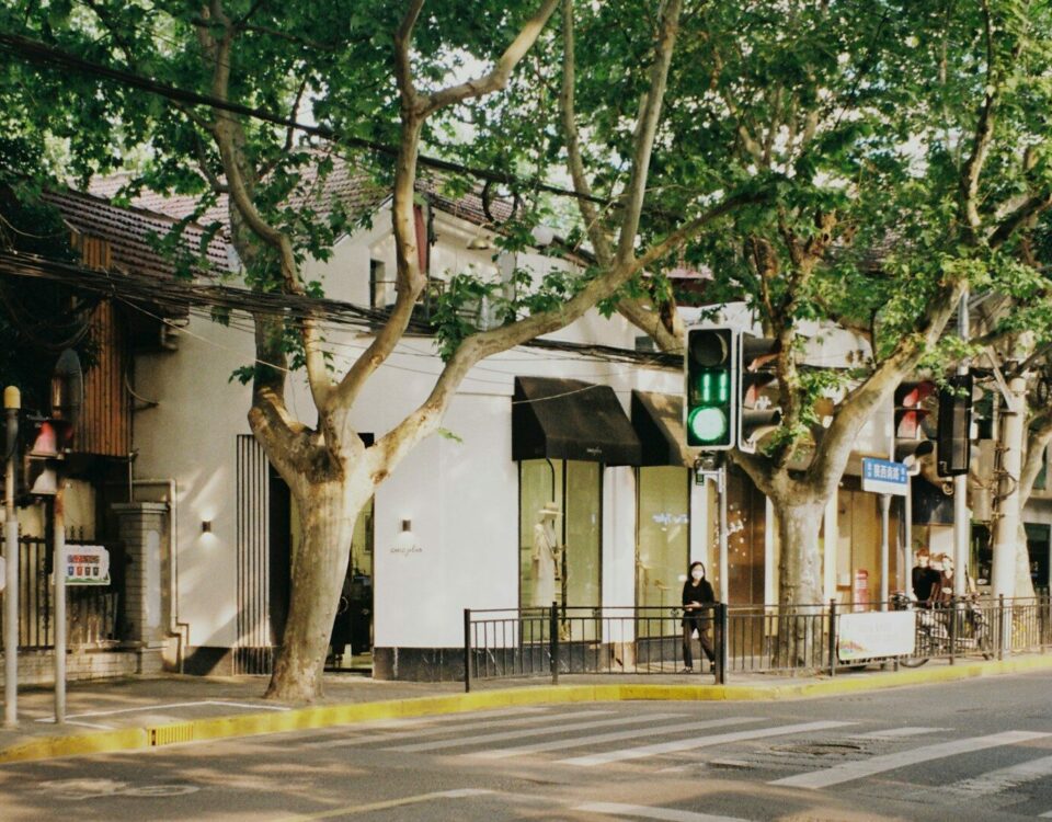 green and brown tree near white building